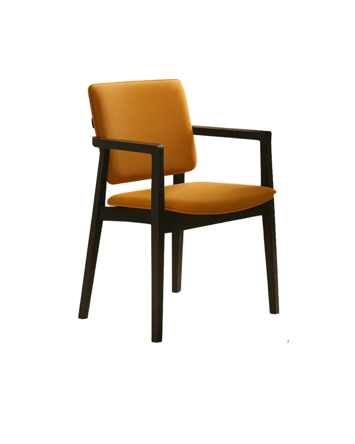 Lema Hati Armchair LEMA